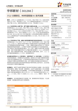 25Q2业绩承压，未来有望受益BC技术发展