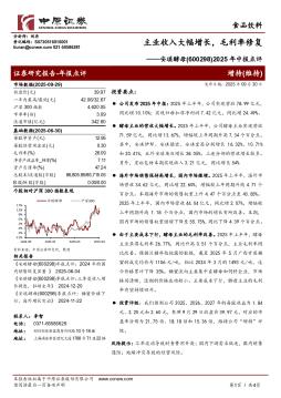 2025年中报点评：主业收入大幅增长，毛利率修复