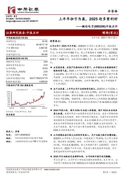 中报点评：上半年扭亏为盈，2025迎多重利好