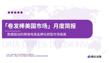 「卷发棒美国市场」月度简报：数据驱动的跨境电商品牌