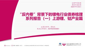 “反内卷”背景下的锂电行业债券梳理系列报告（一）：