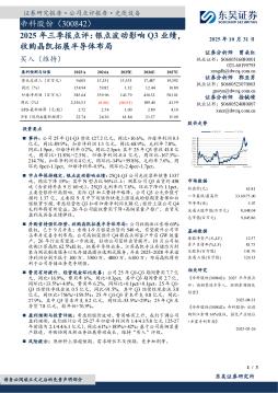 2025年三季报点评：银点波动影响Q3业绩收购晶凯拓展半