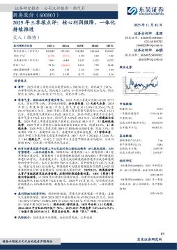 2025年三季报点评：核心利润微降，一体化持续推进