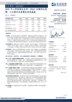 2025年三季度报告点评：25Q3业绩同比高增，三大新兴业