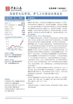 存储多元化布局，景气上行推动业绩成长