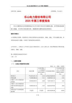 乐山电力：2025年第三季度报告