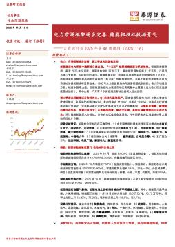 大能源行业2025年第46周周报（20251116）：电力市场框