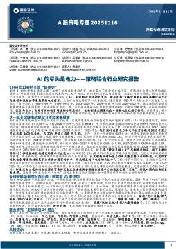 A股策略专题：策略联合行业研究报告-AI的尽头是电力