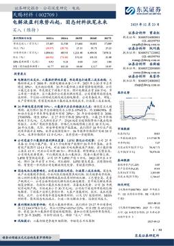 电解液盈利乘势而起，固态材料执笔未来