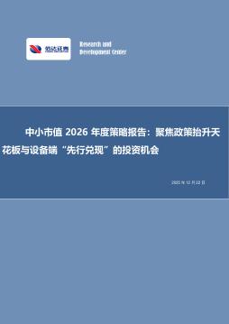 中小市值2026年度策略报告：聚焦政策抬升天花板与设备