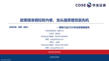 钢铁行业2026年投资策略报告：政策精准调控防内卷，龙