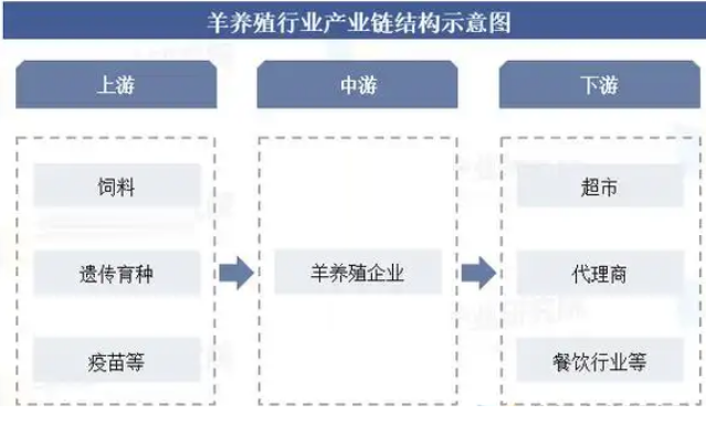 2026年山羊毛行业产业布局分析：内蒙古是我国最大山羊