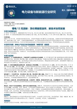 锂电12月洞察：涨价潮继续演绎，新技术协同发展