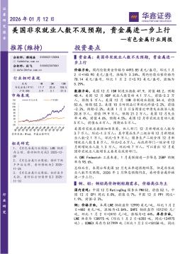 有色金属行业周报：美国非农就业人数不及预期，贵金属进一步上行