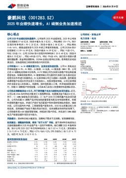 2025年业绩快速增长，AI端侧业务加速推进