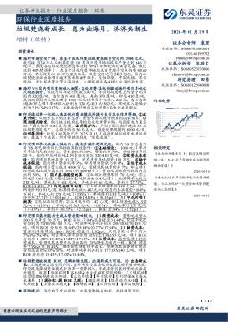 环保行业深度报告：垃圾焚烧新成长：愿为出海月，济济
