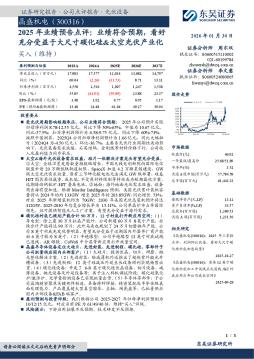 2025年业绩预告点评：业绩符合预期，看好充分受益于大