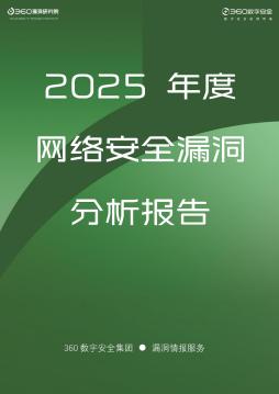 2025年度网络安全漏洞分析报告