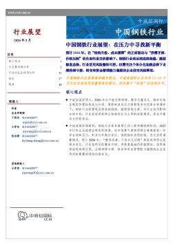 中国钢铁行业展望：在压力中寻找新平衡