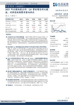 2025年业绩快报点评：Q4营收增长环比提速，利润受短期