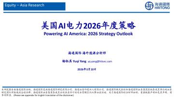 美国AI电力2026年度策略