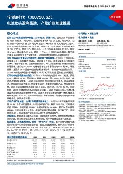 电池龙头盈利强劲，产能扩张加速推进