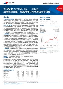 年报点评：业绩表现亮眼，资源端和材料端持续取得突破