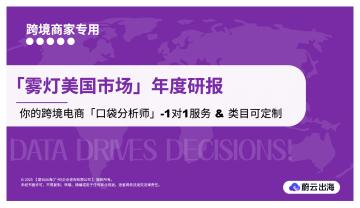 「雾灯美国市场」年度研报：你的跨境电商「口袋分析师