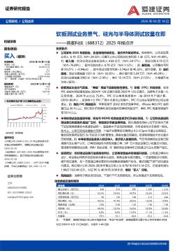 2025年报点评：软板测试业务景气，硅光与半导体测试放