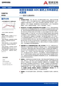 医药行业跟踪报告：映恩生物首款ADC新药上市申请获正