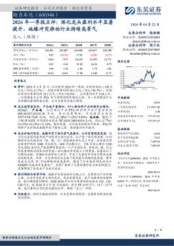 2026年一季报点评：炼化龙头盈利水平显著提升，地缘冲