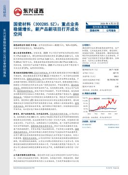 重点业务稳健增长，新产品新项目打开成长空间