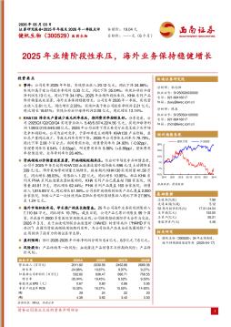 2025年业绩阶段性承压，海外业务保持稳健增长
