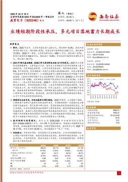 业绩短期阶段性承压，多元项目落地蓄力长期成长