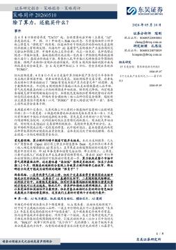 策略周评：除了算力，还能买什么？