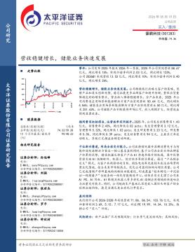 营收稳健增长，储能业务快速发展