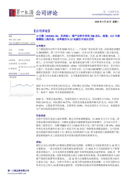 国产功率半导体IDM龙头，硅基、SiC与高端模拟三线并进