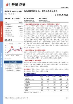公司信息更新报告：低压铅酸稳现金流，锂电钠电做优做