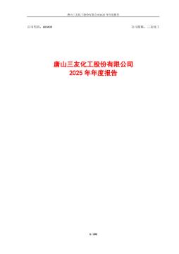 三友化工：2025年年度报告