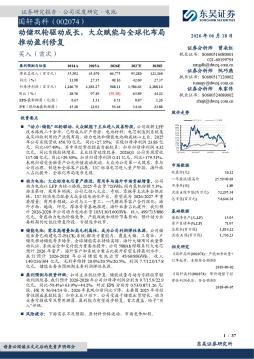 动储双轮驱动成长，大众赋能与全球化布局推动盈利修复