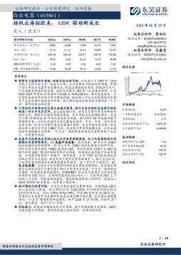 扬帆出海拓欧美，AIDC驱动新成长