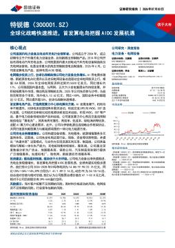 全球化战略快速推进，首发算电岛把握AIDC发展机遇