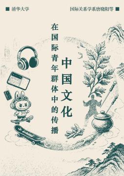 传媒行业：中国文化在国际青年群体中的传播