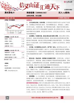 全球化布局，多元发展