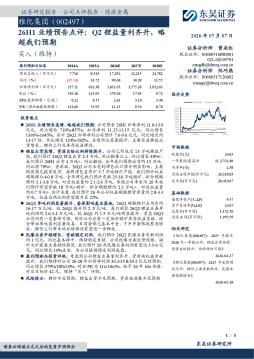 26H1业绩预告点评：Q2锂盐量利齐升，略超我们预期
