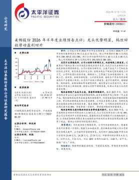 美畅股份2026年半年度业绩预告点评：龙头优势明显，钨