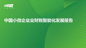 中国小微企业业财税智能化发展报告