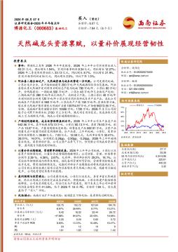 2026年半年报点评：天然碱龙头资源禀赋，以量补价展现